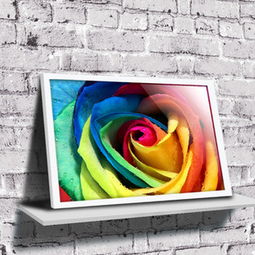 壁畫(huà)價(jià)格查詢與比較指南——以50-70元商品為例